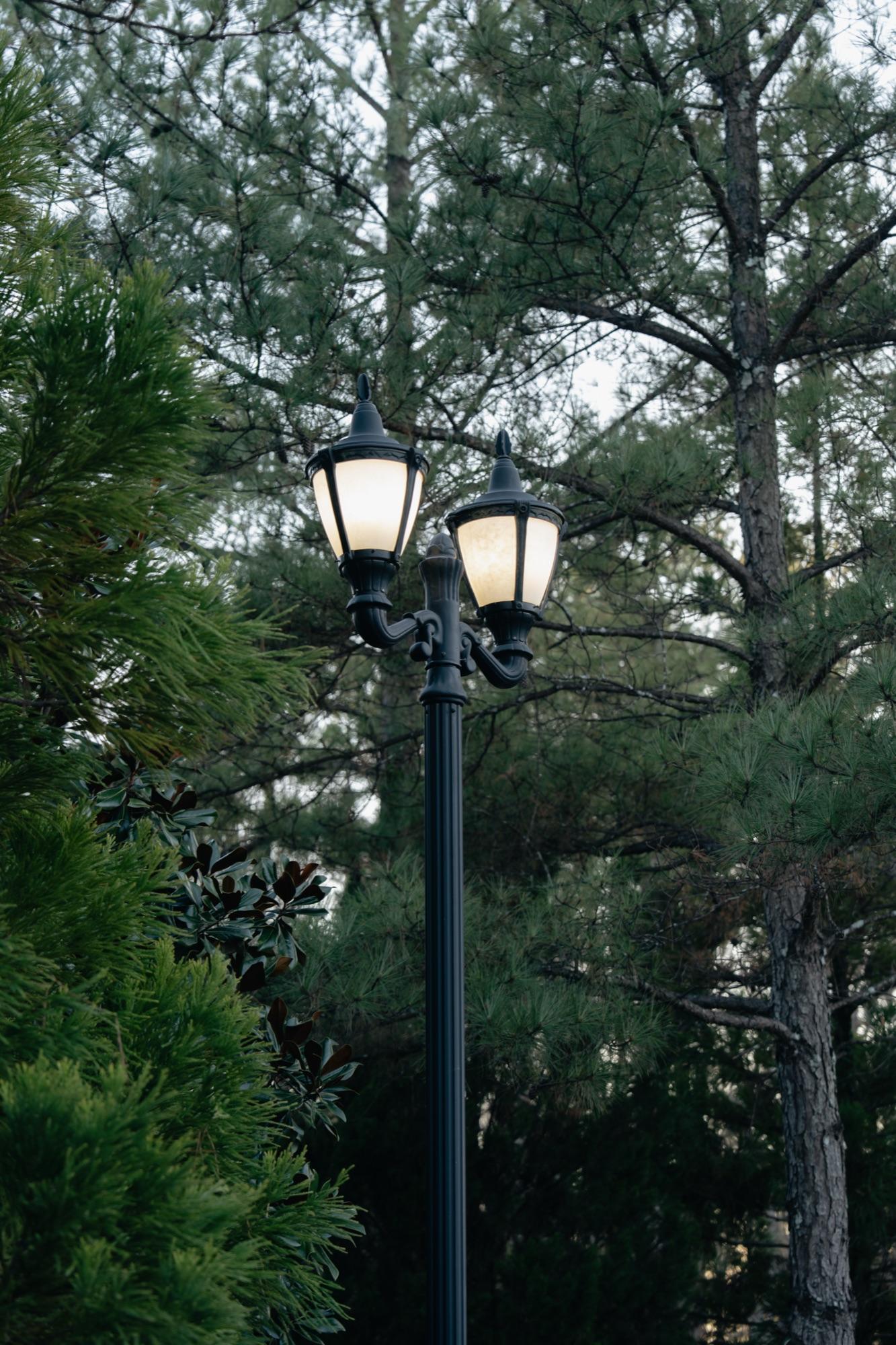 Full wedding — couple moment